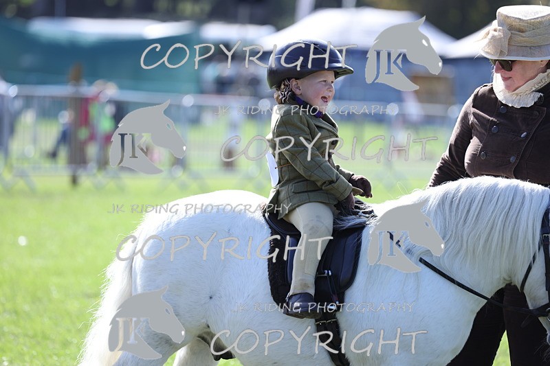 APP_3898 - Class 13 Lead rein