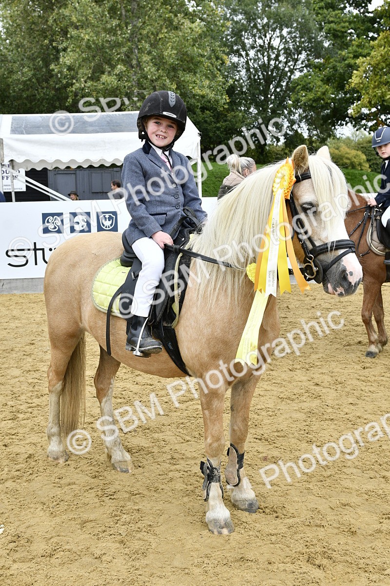 SBM_66248 - J2a mini Tour Junior Pony 30cm Championship