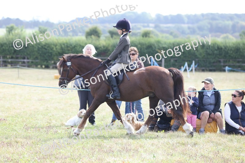 20250831-1242 - Class 15 - Ridden Veteran