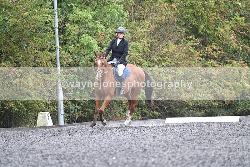 WJ7_3451 - Time 09:54 to 10:54