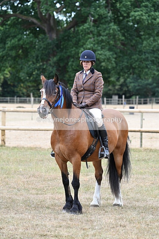 WJ7_0714 - Class 6 Ridden Mountain and Moorland