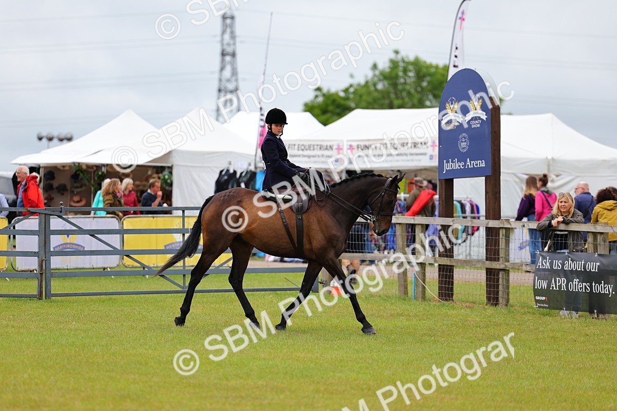 SBM_02829 - Class 9-11 Side Saddle including LIHS Rising Star Ladies Show Horse
