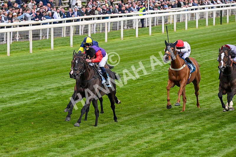 150526-Race 7-Portcullis-0402 - Race 7 5.15pm Darley EBF 'Confined' Novice Stakes