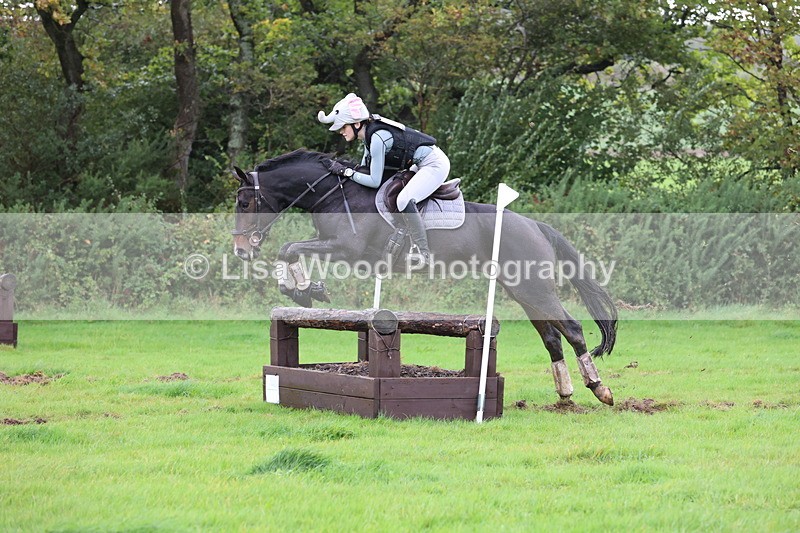 JPP_5477 - Class 5: 90cm Crossed Logs