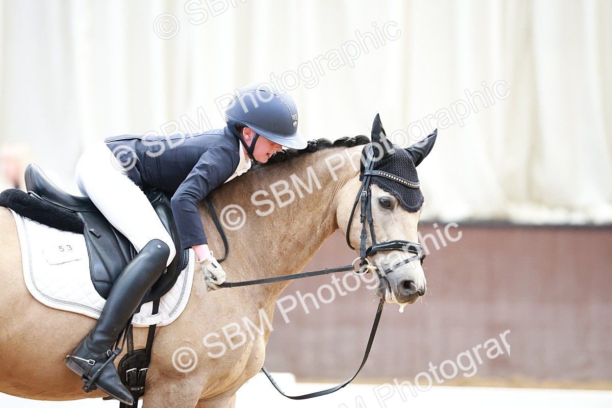 SBM_017247 - Class15 - FEI Pony