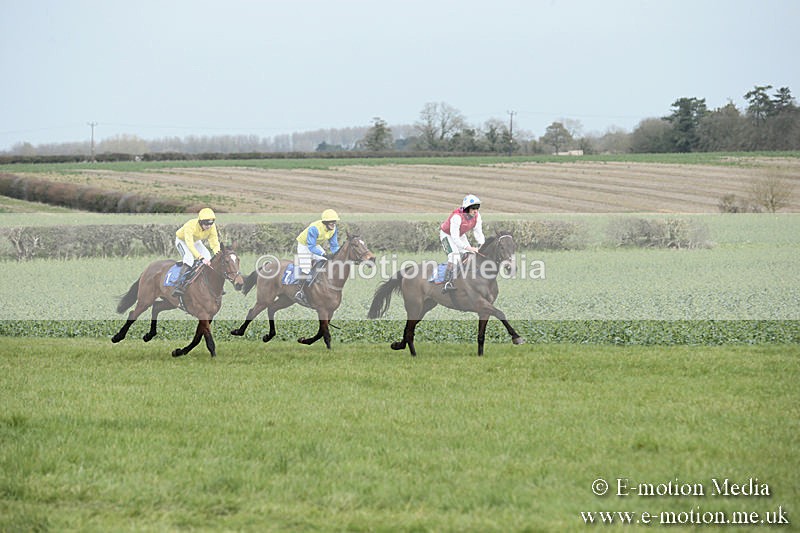 PtP 230319 35 - VWH Hunt Siddington Point-to-Point Racing 23/03/19