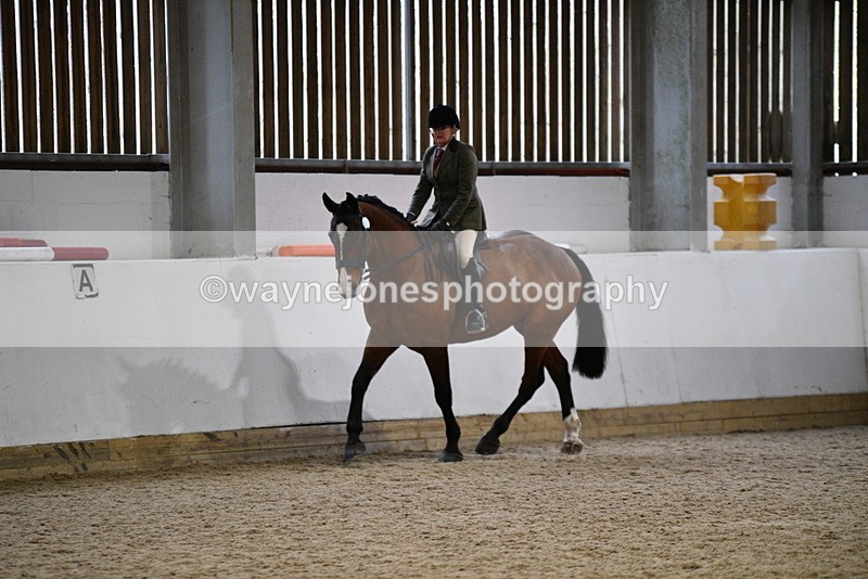 WJ5_8996 - Class 15 Ridden Show Horse