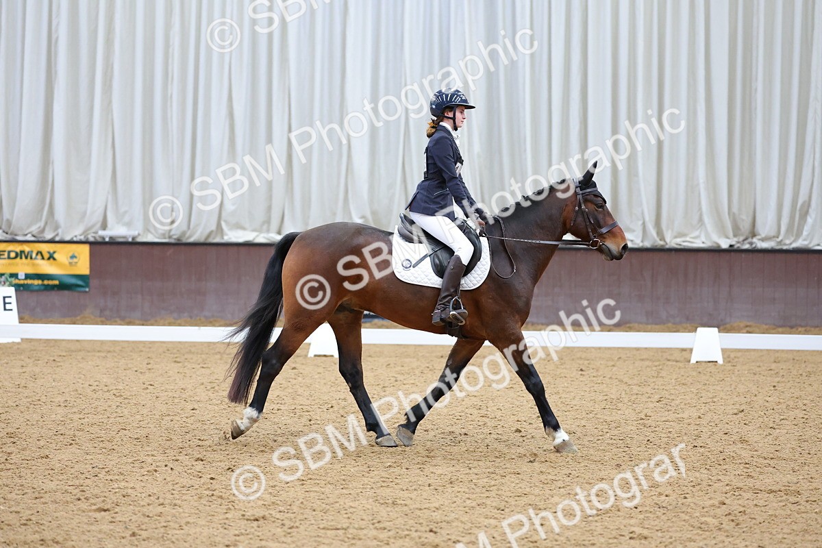 SBM_003003 - Novice