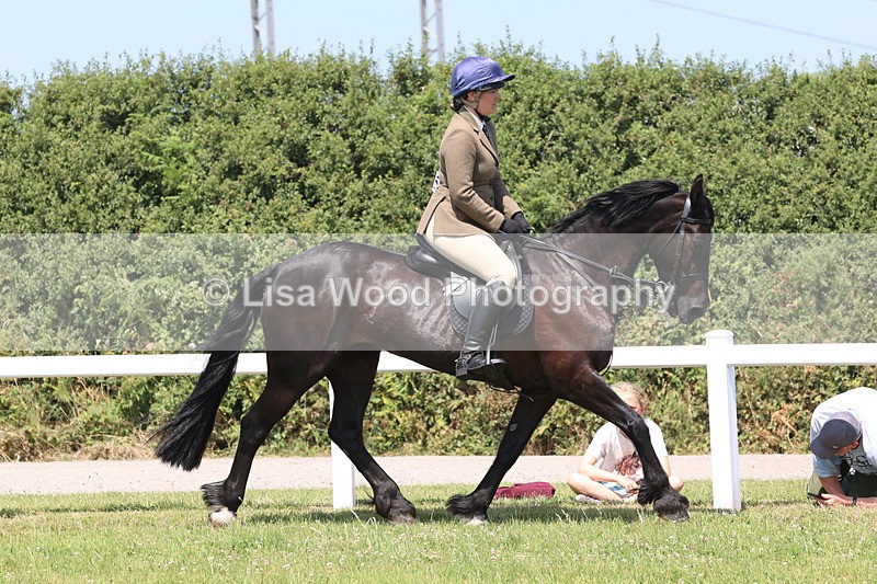 JPP_2722 - Class 21: Working Hunter 60cm