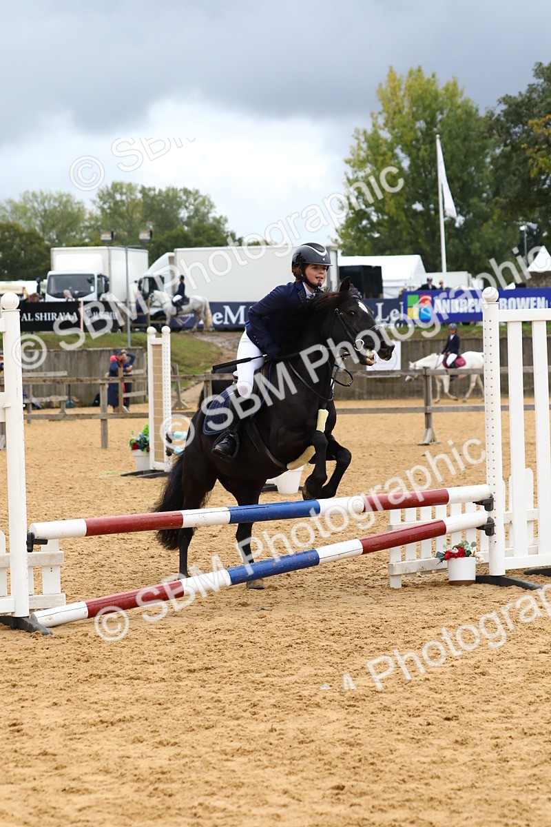 SBM_62361 - J64 - Junior Pony 60cm Championship