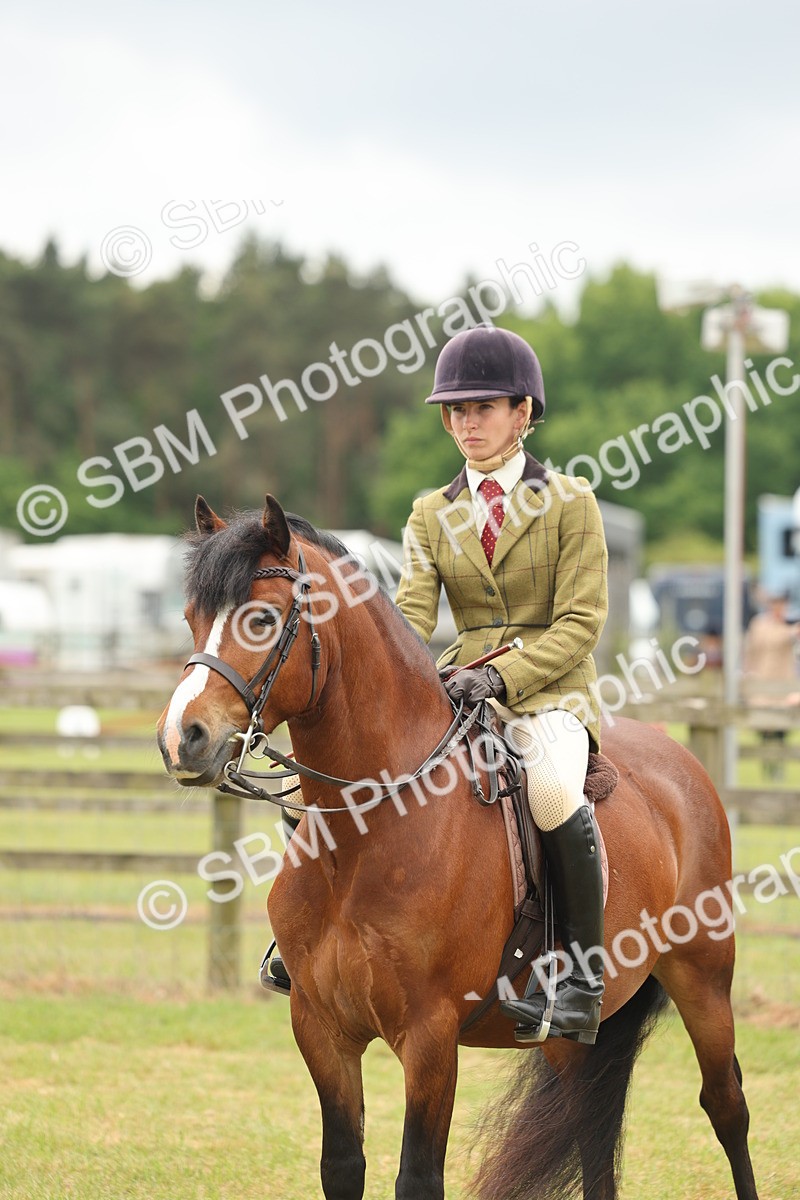 SBM_07227 - Class 76-77 - Ridden M&M Welsh Ponies