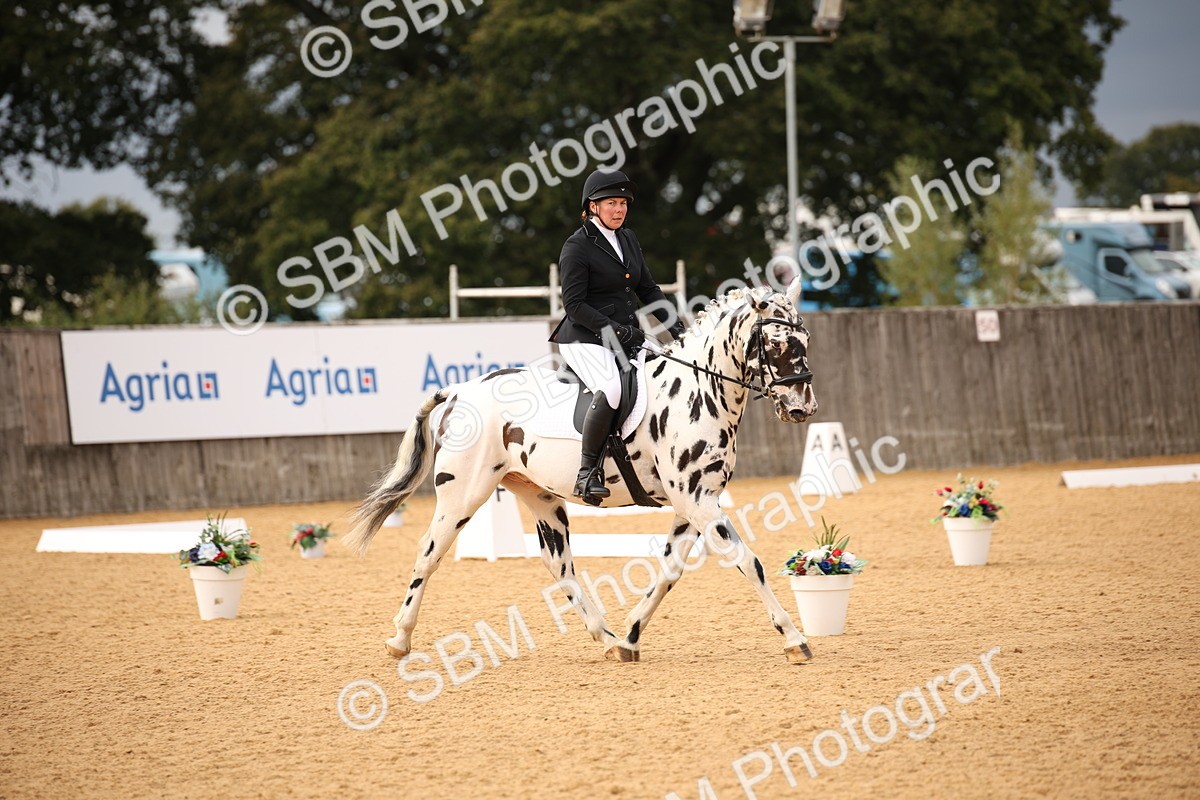 SBM_12292 - D3 Small  Tour Championship Intro A