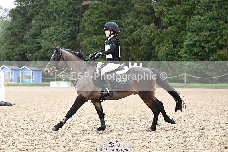 260222A-100739-00319 - 40cm Lead Rein and Assisted