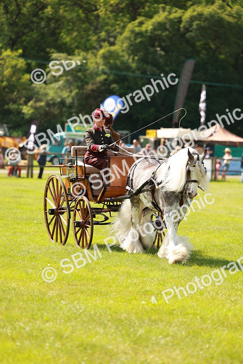 SBM_02659 - Class 2-4 - HOYS Private Driving