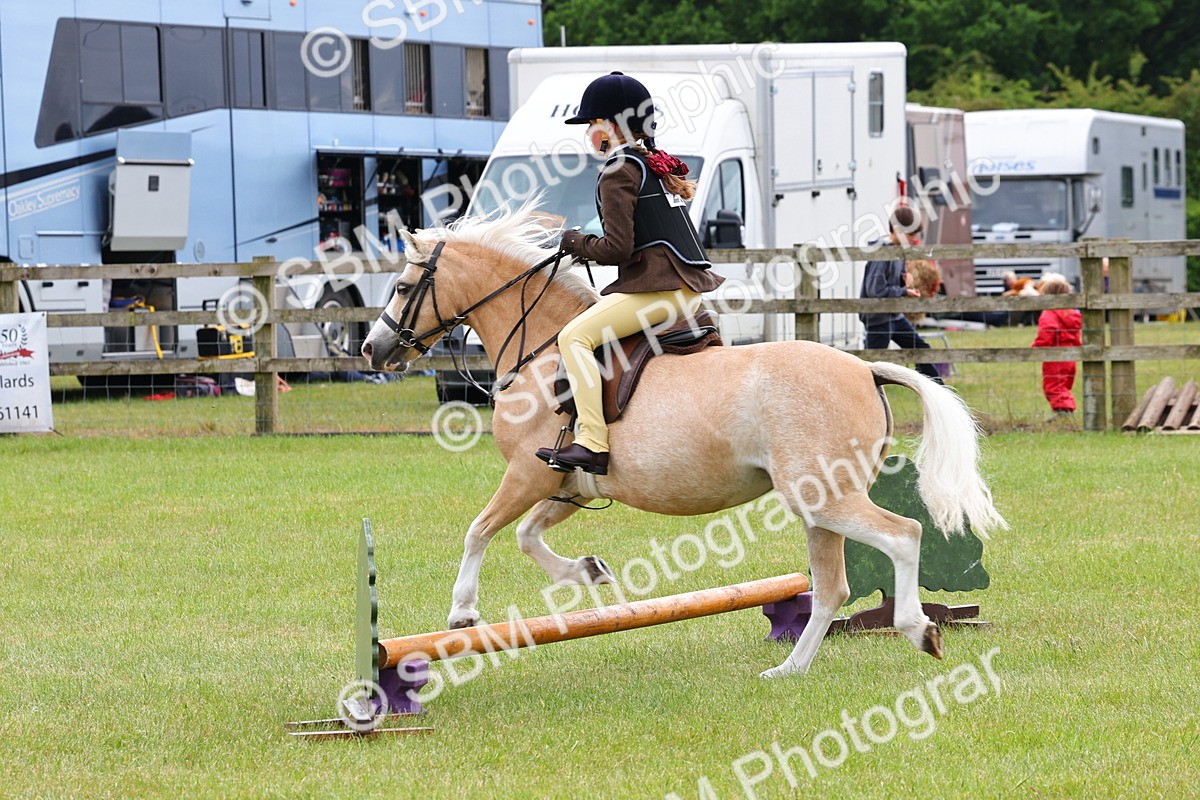SBM_08581 - Class 42-43 - LIHS BSPS Heritage Working Sports Pony