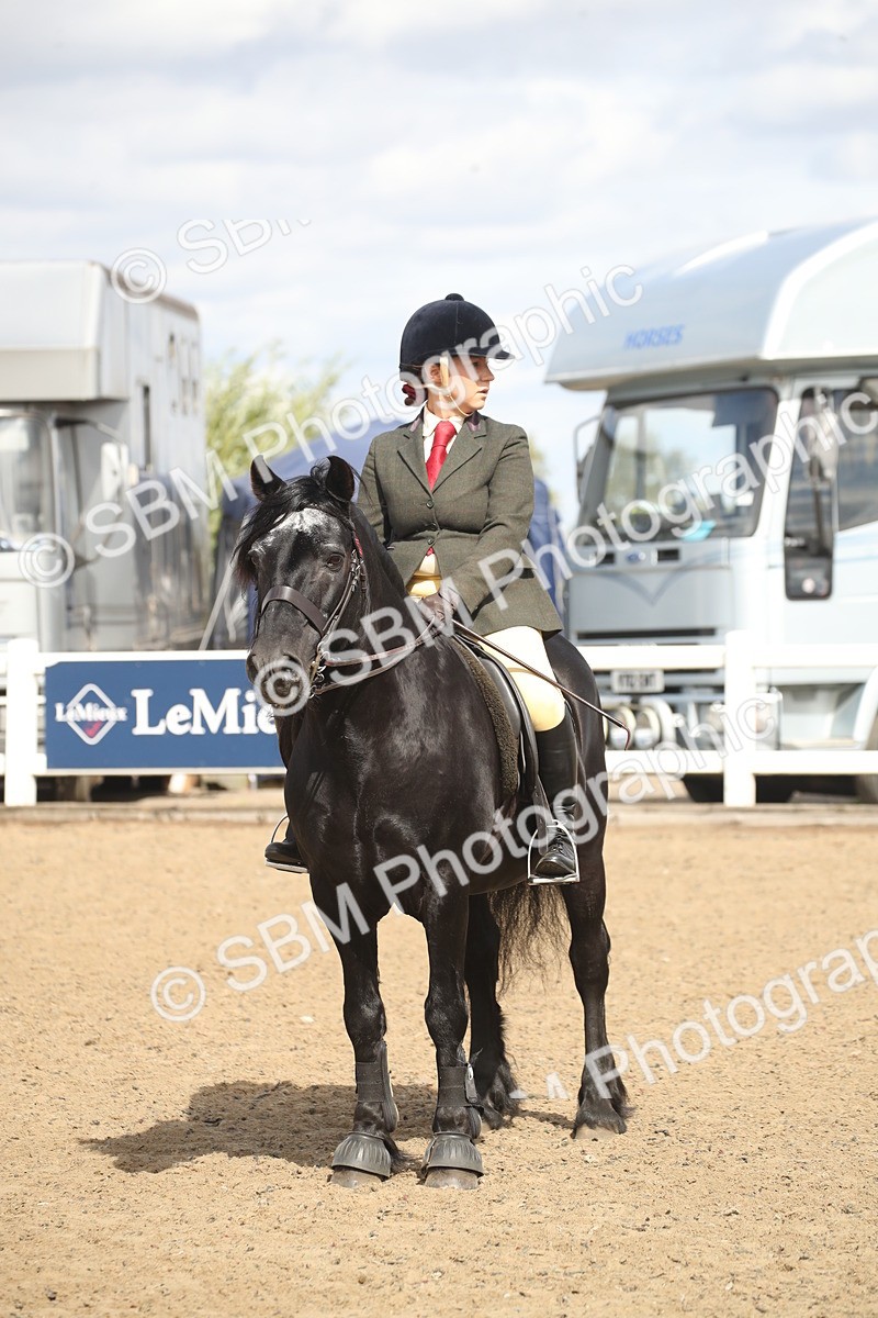 SBM_15181 - Class 505b - M&M Working Veteran - 50cm (20+)