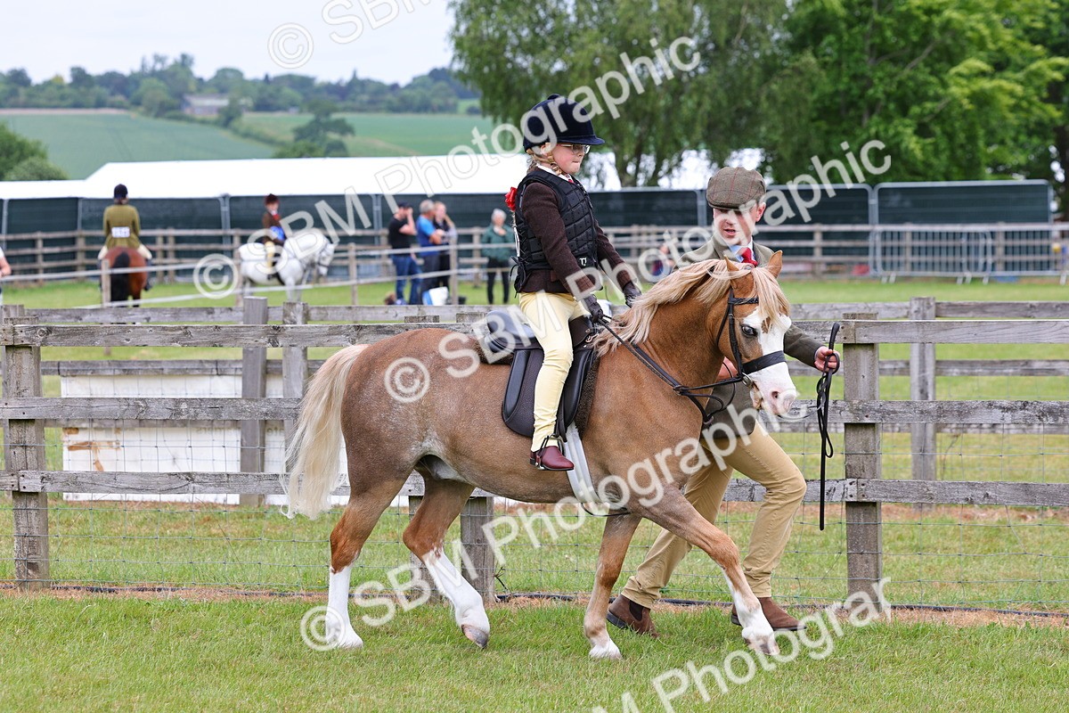 SBM_08103 - Class 42-43 - LIHS BSPS Heritage Working Sports Pony