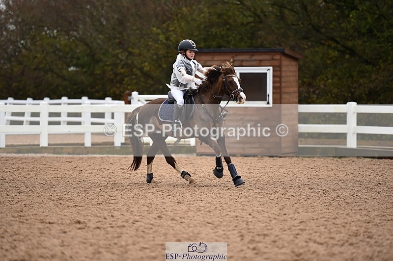 231203A-100102-00251 - Cls 2 British Novice & 80cm Open