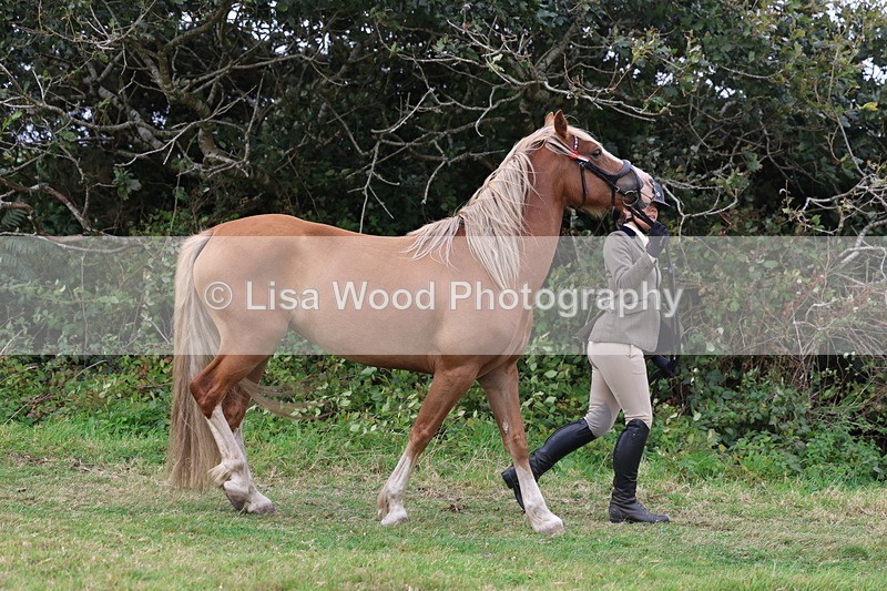 3E7A4522 - Class 16: Best Grass Kept