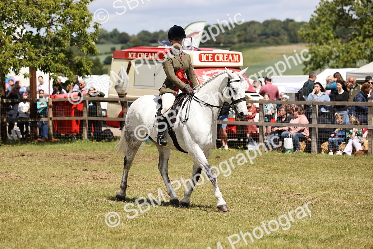 SBM_14773 - Class 88-89 - LIHS BSHA Rising Star of Ridden Hunter Type