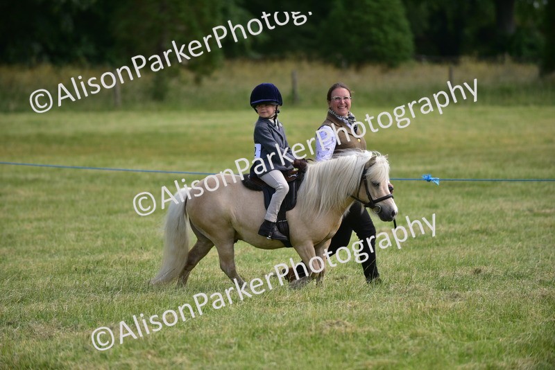 20260614-1120 - Class 11a - Lead Rein Pony (Unplaited)