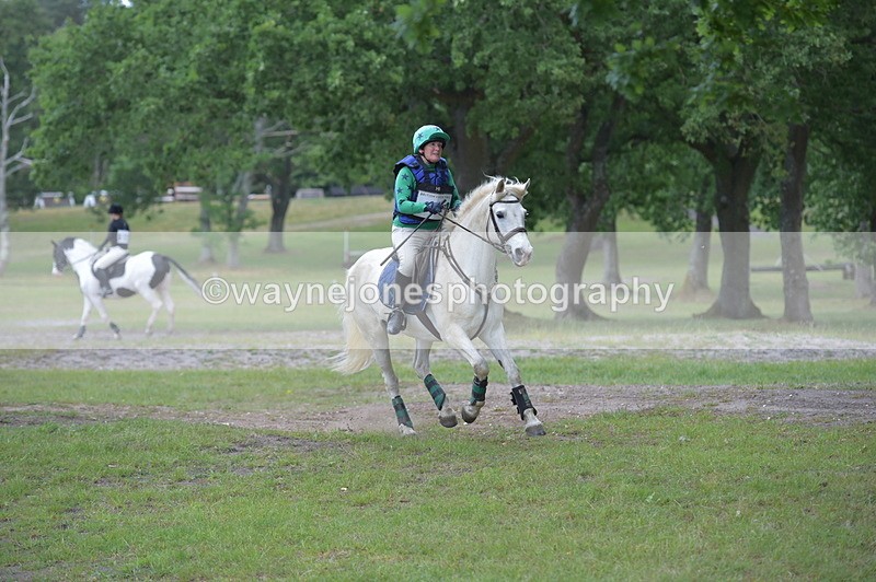 NGP_6967 - Time 11:01 to 11:09