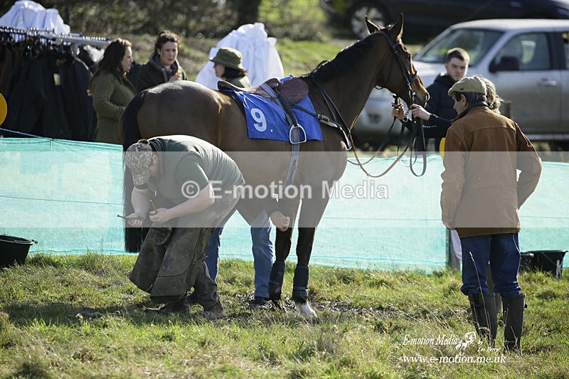 PtP 260222 539 - Kingston Blount Racing Club Point-to-Point 26/02/22