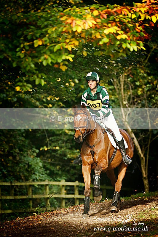 Aldon HT 2510154 462a - Equestrian