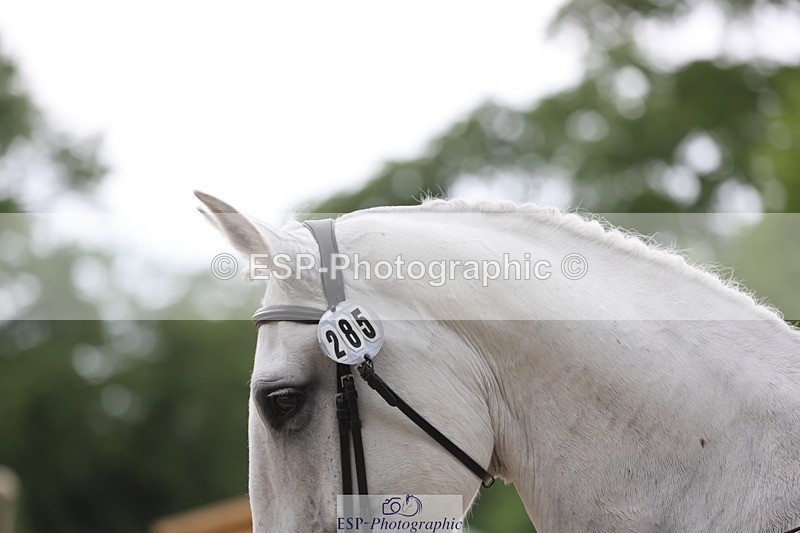 240524-144227-09803 - 285-CHF_BALLYTURN_BRILLIANT-Pascal_Van_moort