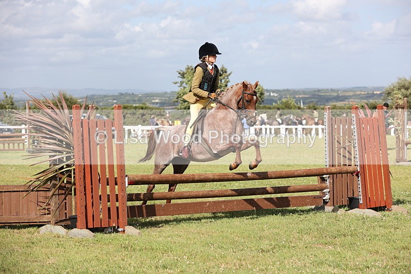 JPP_2819 - Class 20: Working Hunter 70cm