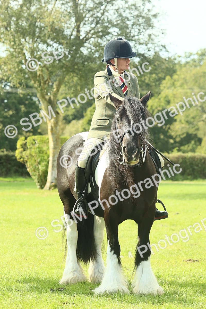SBM_68939 - S58 - Mini Show Cob Ridden