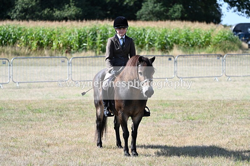 WJ7_3157 - Class 8 Ridden Tack & Turnout