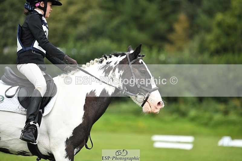 230826-112817-15875 - Sections C & D 10 to End