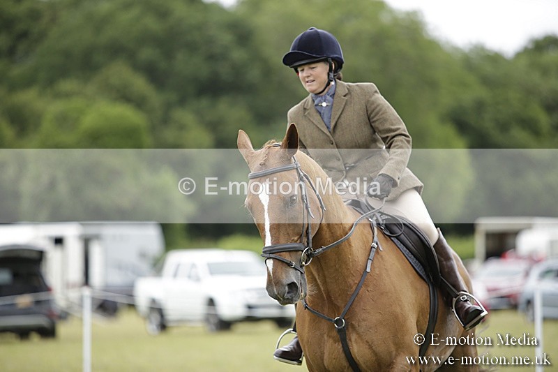 BVR160717-825 - Ring 1 BVRC Show 16/07/17