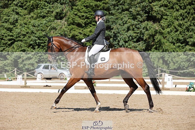 240719-160502-03034 - 231-Amy_Searle-Haver_II