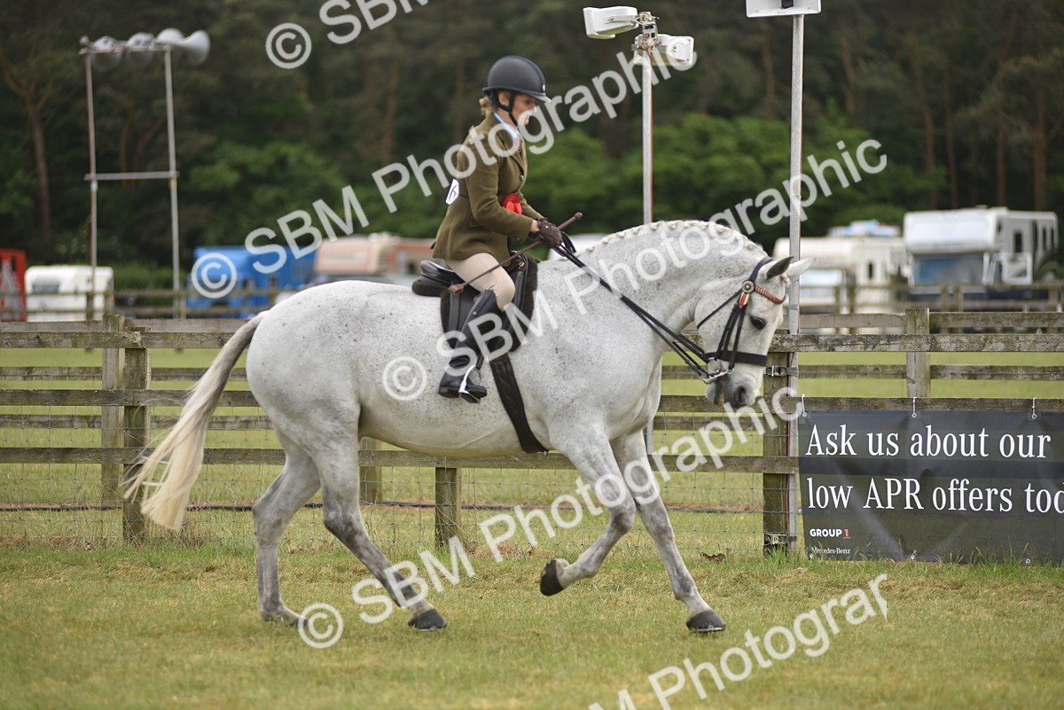 SBM_18242 - Class 122-123 - LIHS BHSA Raising Star Style and Performance Series