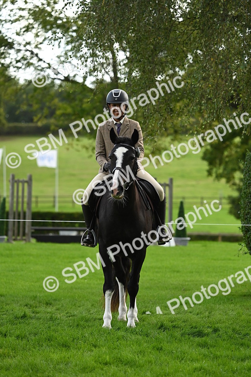 SBM_26364 - S6 - Novice & newcomer Ridden horse