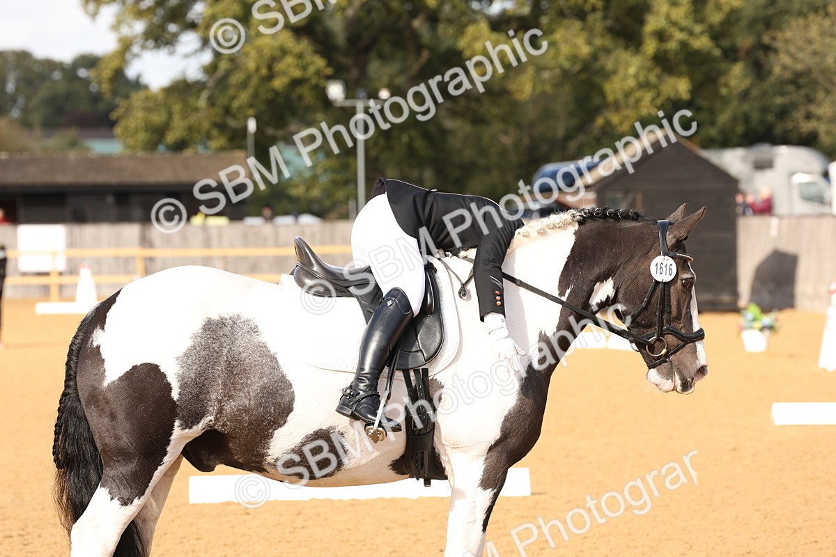 SBM_24703 - D17 - Grand Tour Championship Novice 3