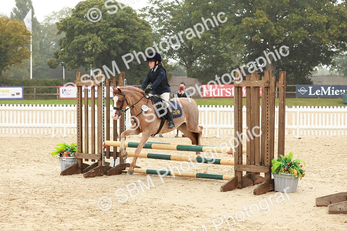 SBM_73332 - Supreme Championship Junior Pony 60cm & 65cm