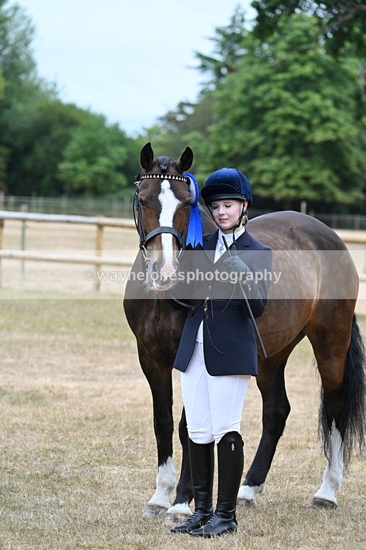 WJ7_0167 - Class 5a Most Handsome Gelding (above 14.2hh)