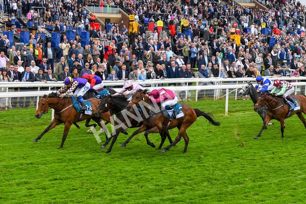 190523-Race 6-Eligible-0831 - Race 6 4.45pm Yorkshire Equine Practice Handicap