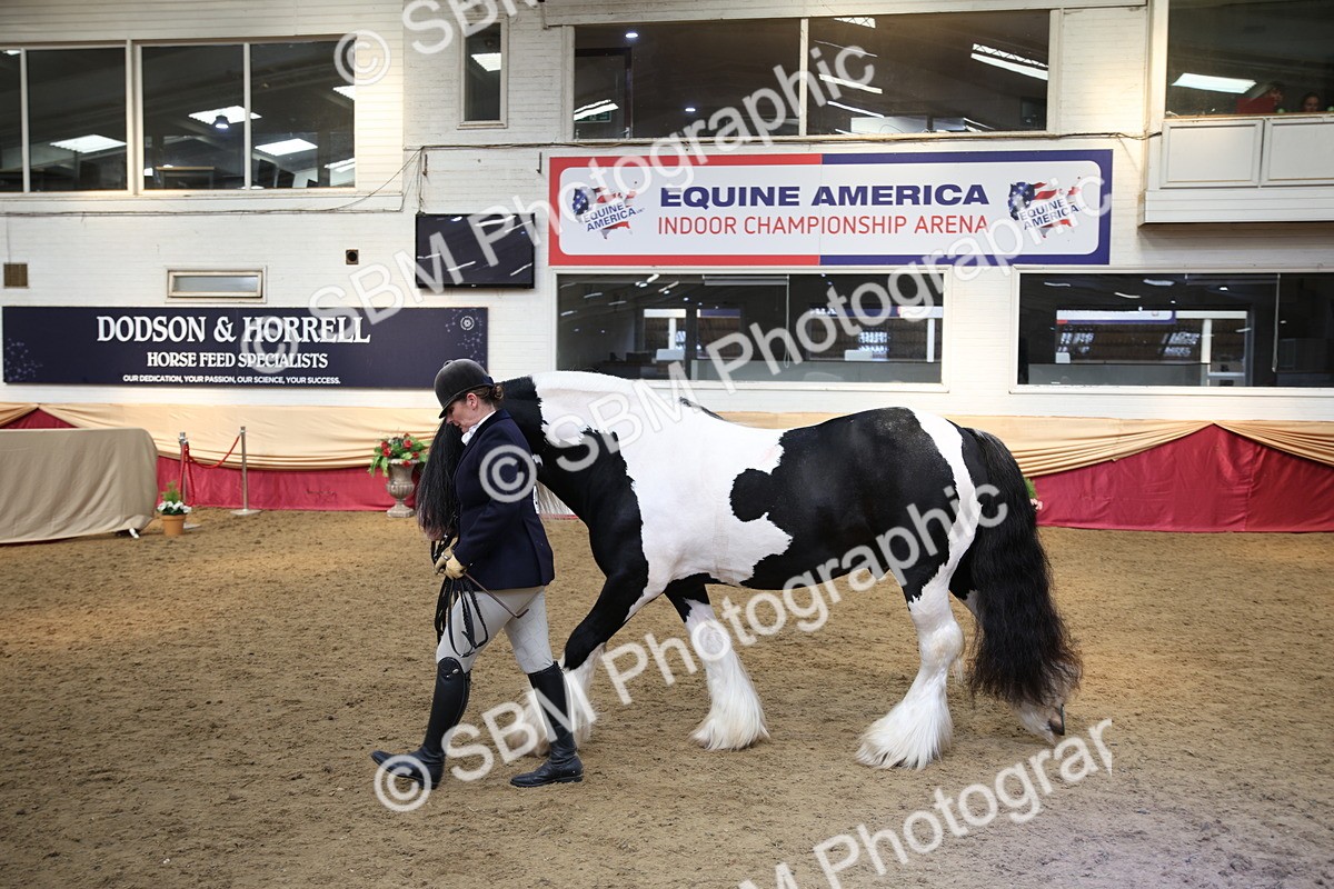 SBM_24278 - Class 905 - Supreme Final - Ridden Veteran