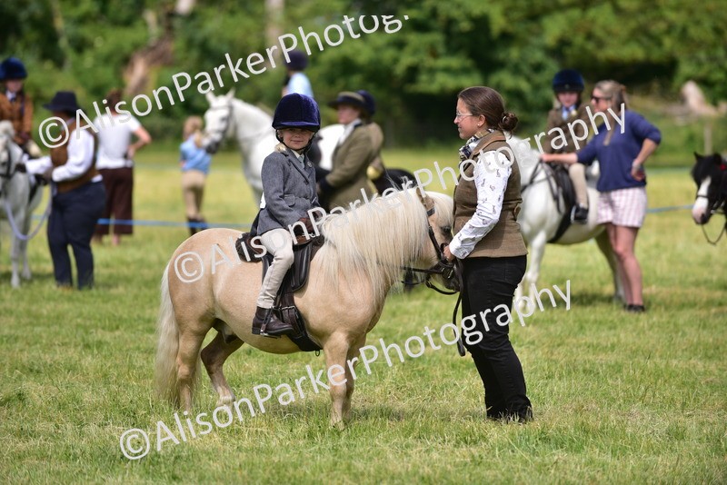 20260614-1275 - Class 11a - Lead Rein Pony (Unplaited)