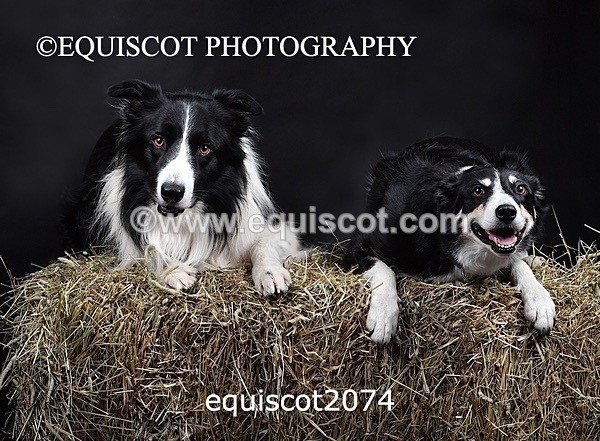 equiscot2074 - SKY & NELL