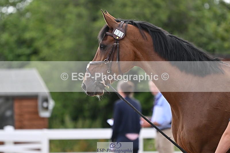 240717A-143544-02132 - Trot Up 2pm to 3pm - This folder is not in time order