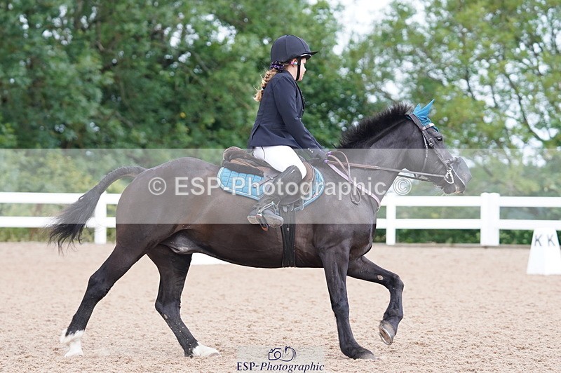 240809A-101914-00484 - Dressage Competition