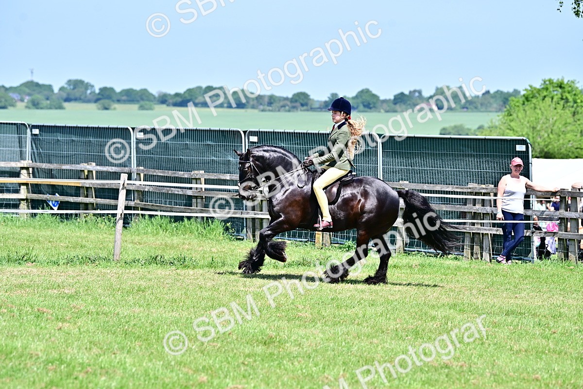 SBM_15321 - Class 95-97 - BSPS LHS Performance Ponies