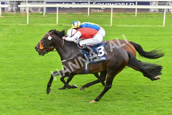 yr24092021r2-31 - Race 2 2.05pm William Hill Extra Places Races Stakes