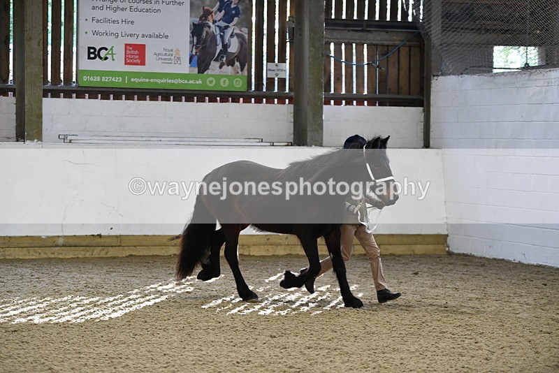 WJ5_3500 - Class 1 Youngstock