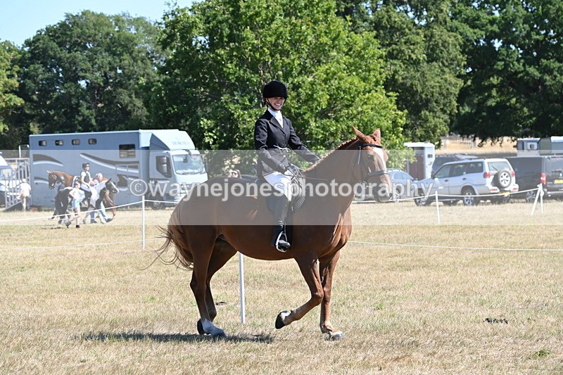 WJ6_8332 - Class 37a Best Loan Pony Ridden